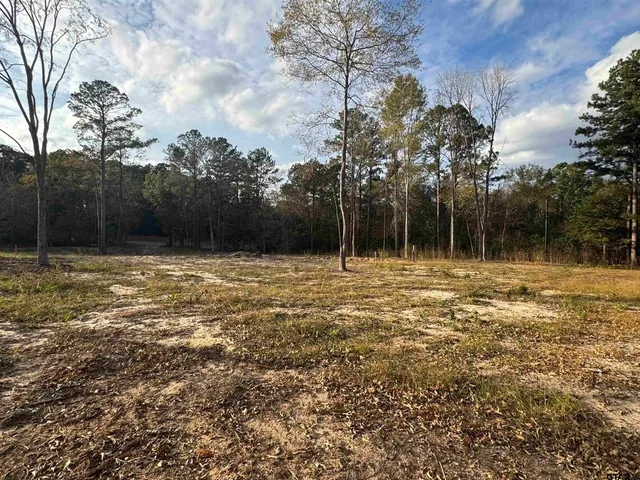 $125,000 | 17365 Farm To Market 2089, Overton, TX 75684