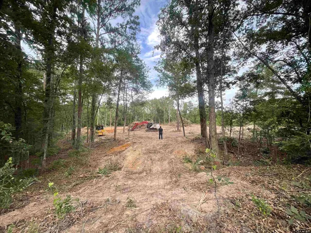 a view of backyard with trees