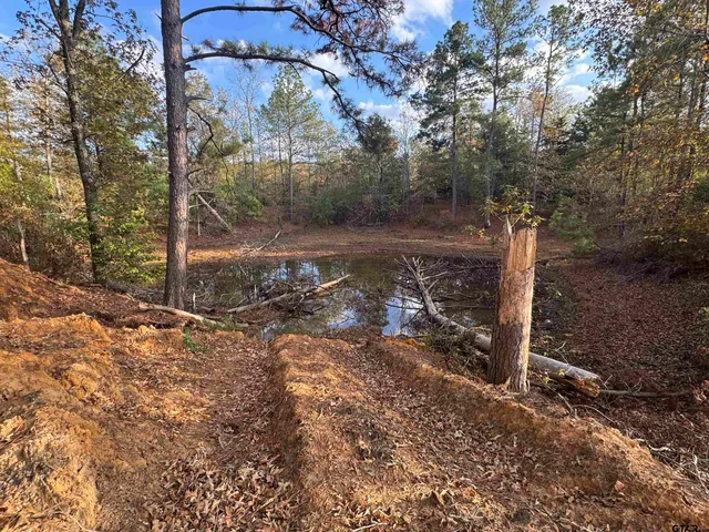 a view of a small yard