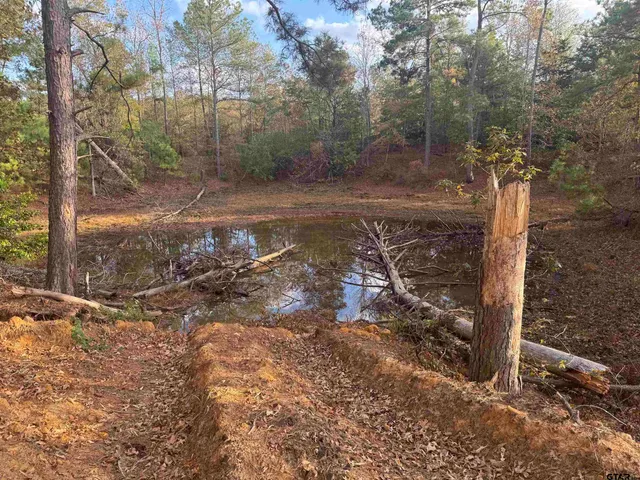 a view of a yard with trees