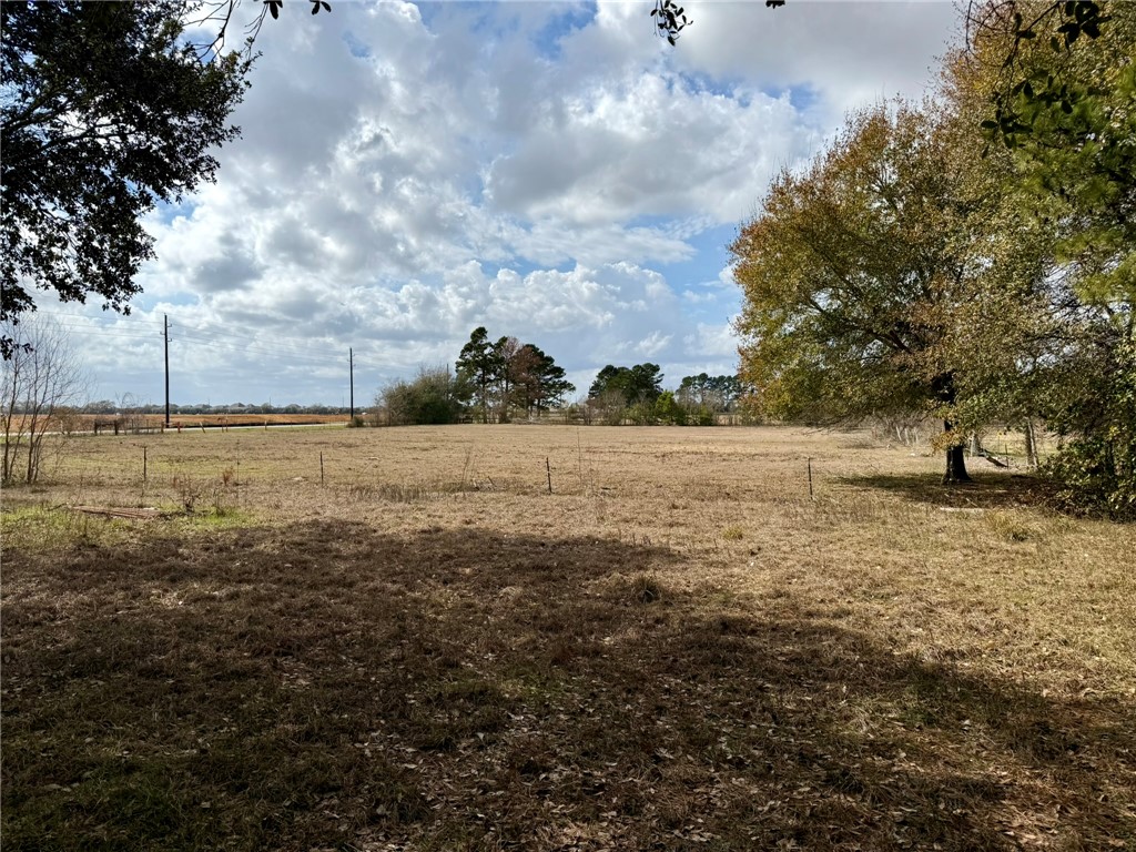 31318 Knebel Road Waller, TX 77484 - Photo 2 of 12