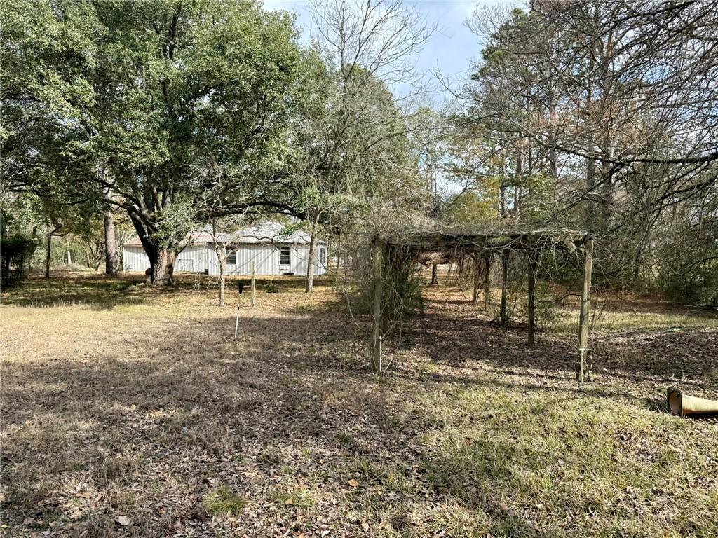 31318 Knebel Road Waller, TX 77484 - Photo 4 of 12