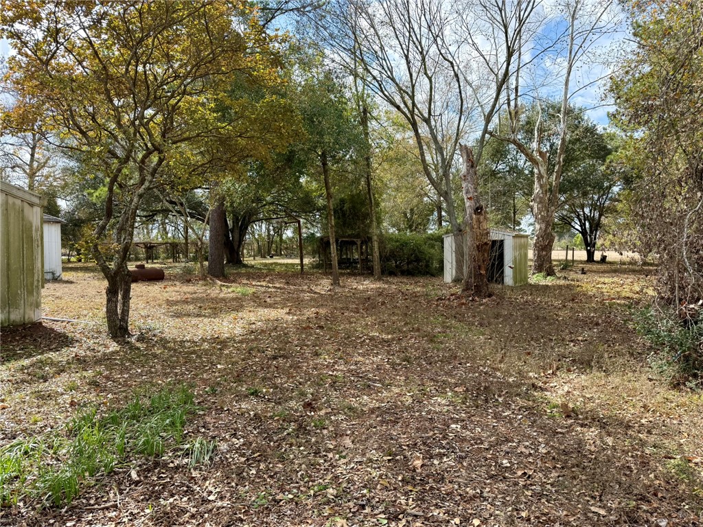 31318 Knebel Road Waller, TX 77484 - Photo 6 of 12