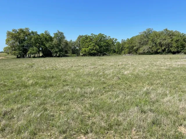 a view of a field with plants