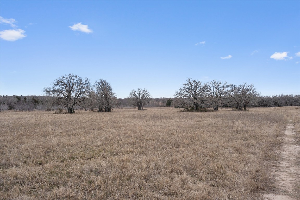 322 County Road 322 Road Rockdale, TX 76567 - Photo 18 of 20 a view of a field with trees in background