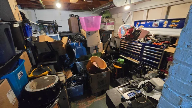 a view of a backyard with large trees