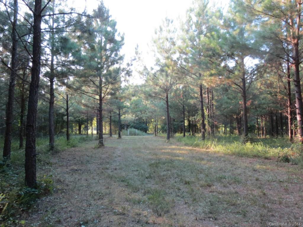 385 Greenglen Road, Unit TRACT 2 McConnells, SC 29726 - Photo 14 of 24 a view of outdoor space with trees all around