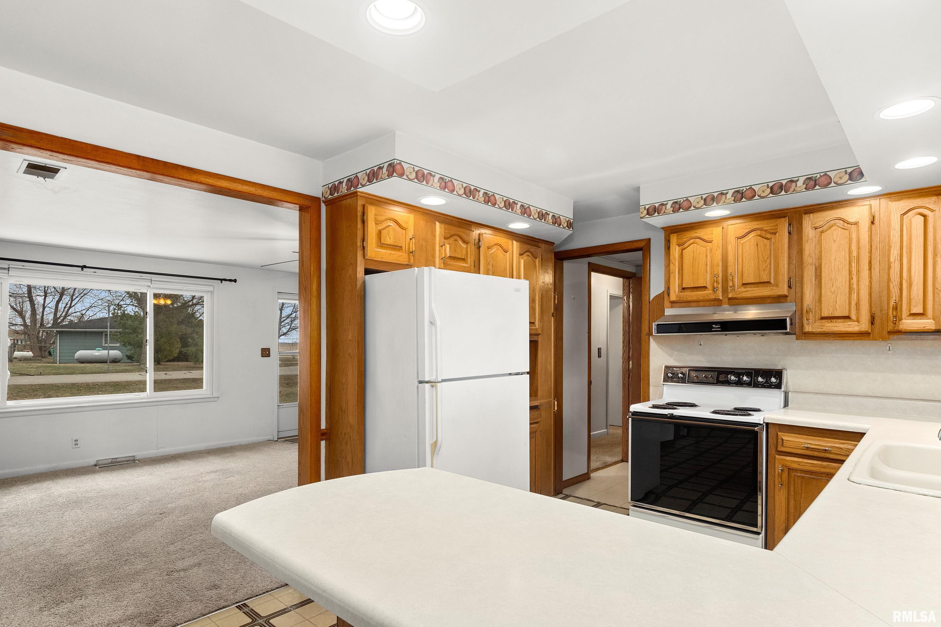 103 Durant Street Morton, IL 61550 - Photo 17 of 36