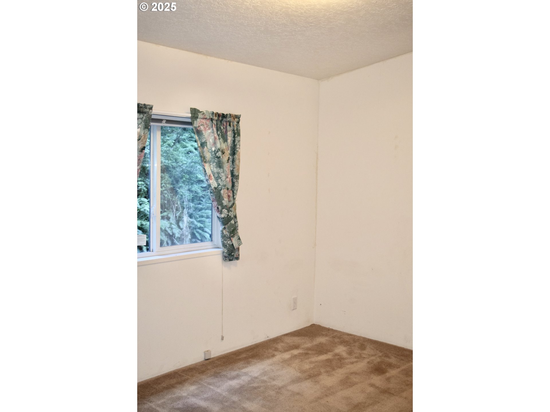 31835 Rumley Hill Road Gold Beach, OR 97444 - Photo 13 of 26 Gallery Image 13