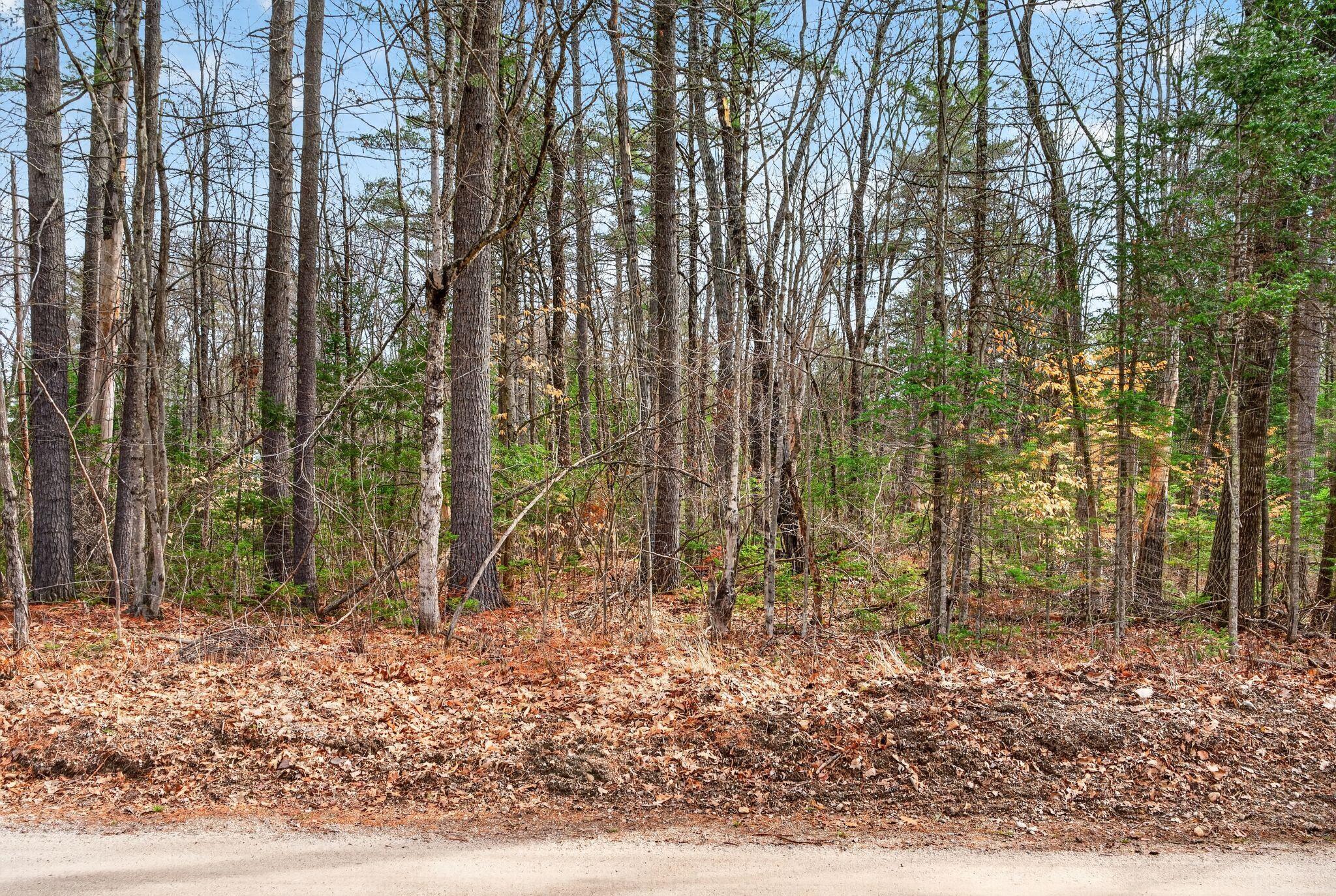 48 Leisure Lane Limerick, ME 04048 - Photo 7 of 12 4_DSC04460
