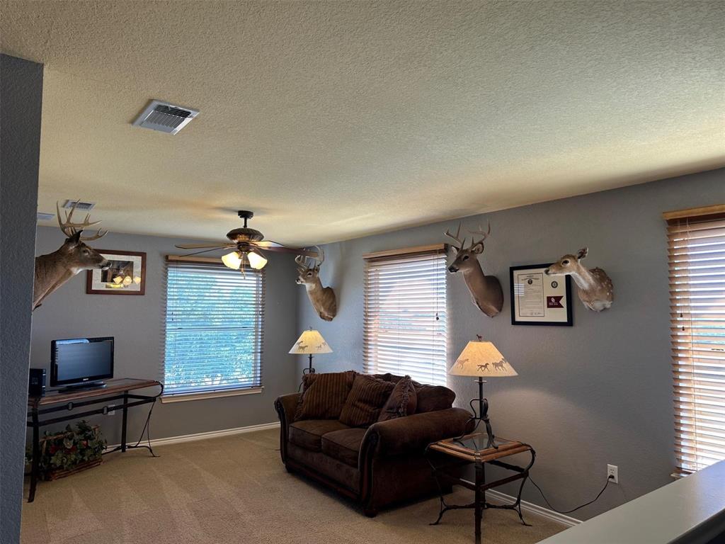 2901 Wind Mill Court Tolar, TX 76476 - Photo 17 of 38 a living room with furniture and a window