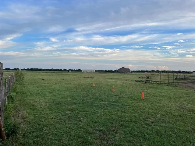 a view of a field with tree in it
