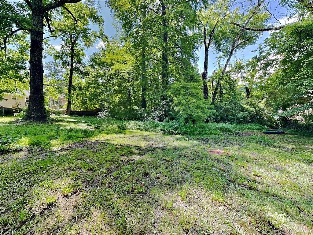 224 Buchanan Terrace Decatur, GA 30030 - Photo 23 of 23 a view of a green field with lots of trees