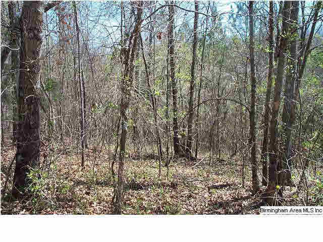 664 Mill Branch Road, Unit 17AC Jacksonville, AL 36265 - Photo 8 of 14