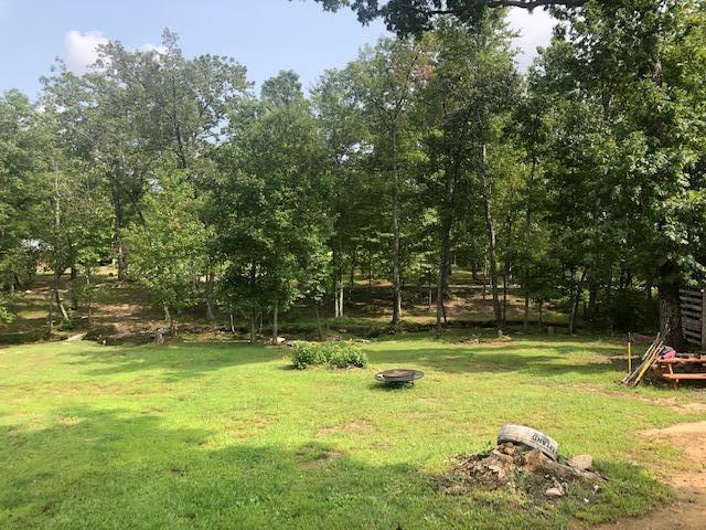 250 Jim Garrett Road Monterey, TN 38574 - Photo 7 of 10 Back property from House