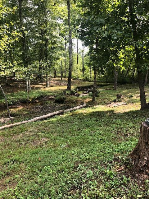 250 Jim Garrett Road Monterey, TN 38574 - Photo 8 of 10 Back Right