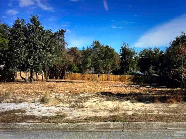 a view of a yard with trees
