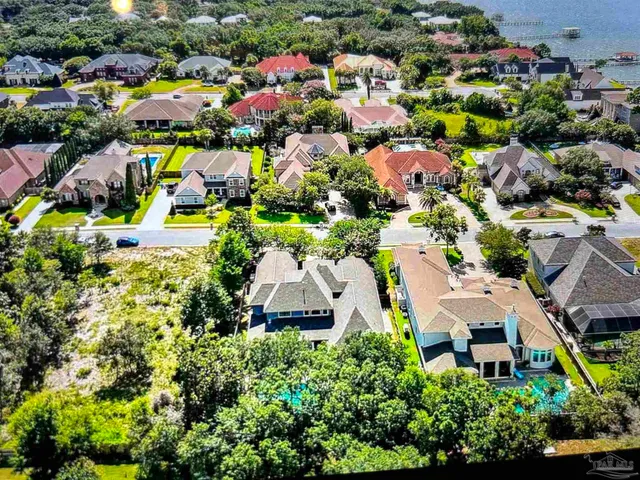 a picture of flowers