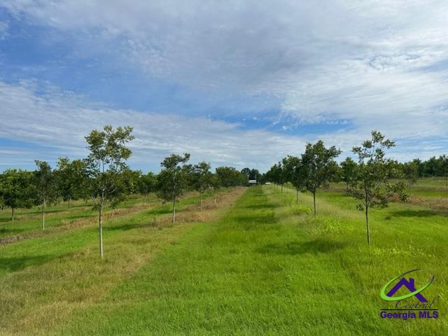 Henderson Springs Road Elko, GA 31025 - Photo 15 of 24