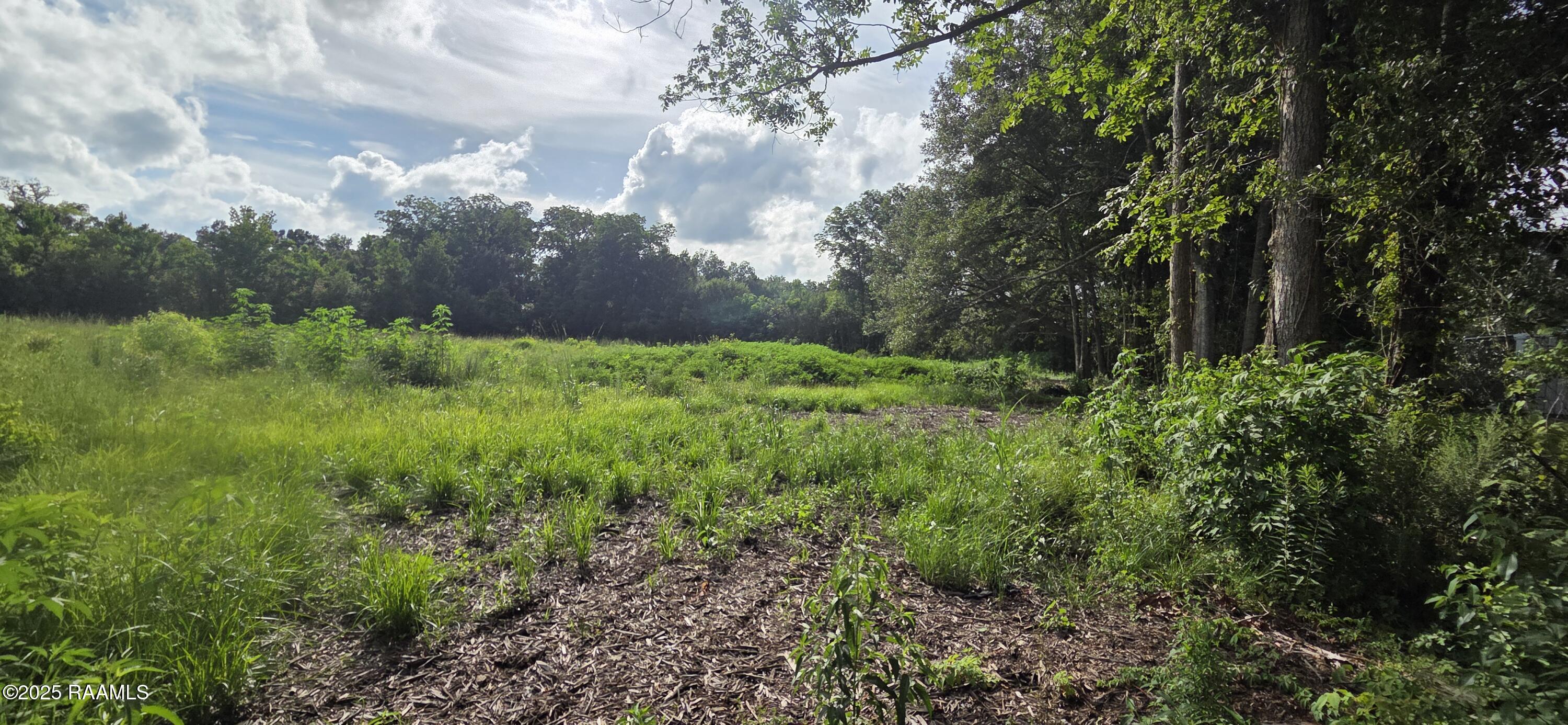1031 Johnson Road Breaux Bridge, LA 70517 - Photo 3 of 6 back tract 1