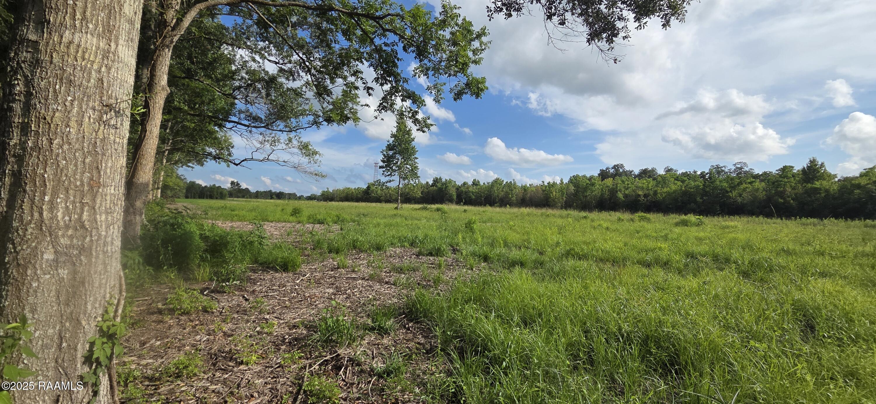 1031 Johnson Road Breaux Bridge, LA 70517 - Photo 4 of 6 back tract