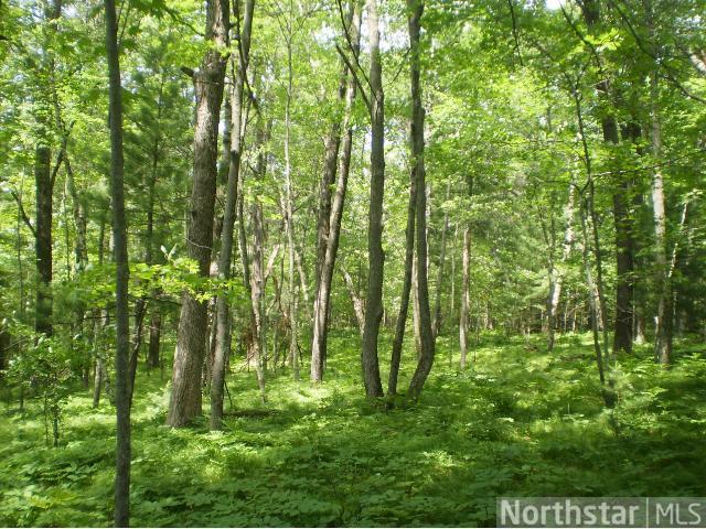 Xxx Lundquist Road Grantsburg, WI 54840 - Photo 1 of 1 Gallery Image 1