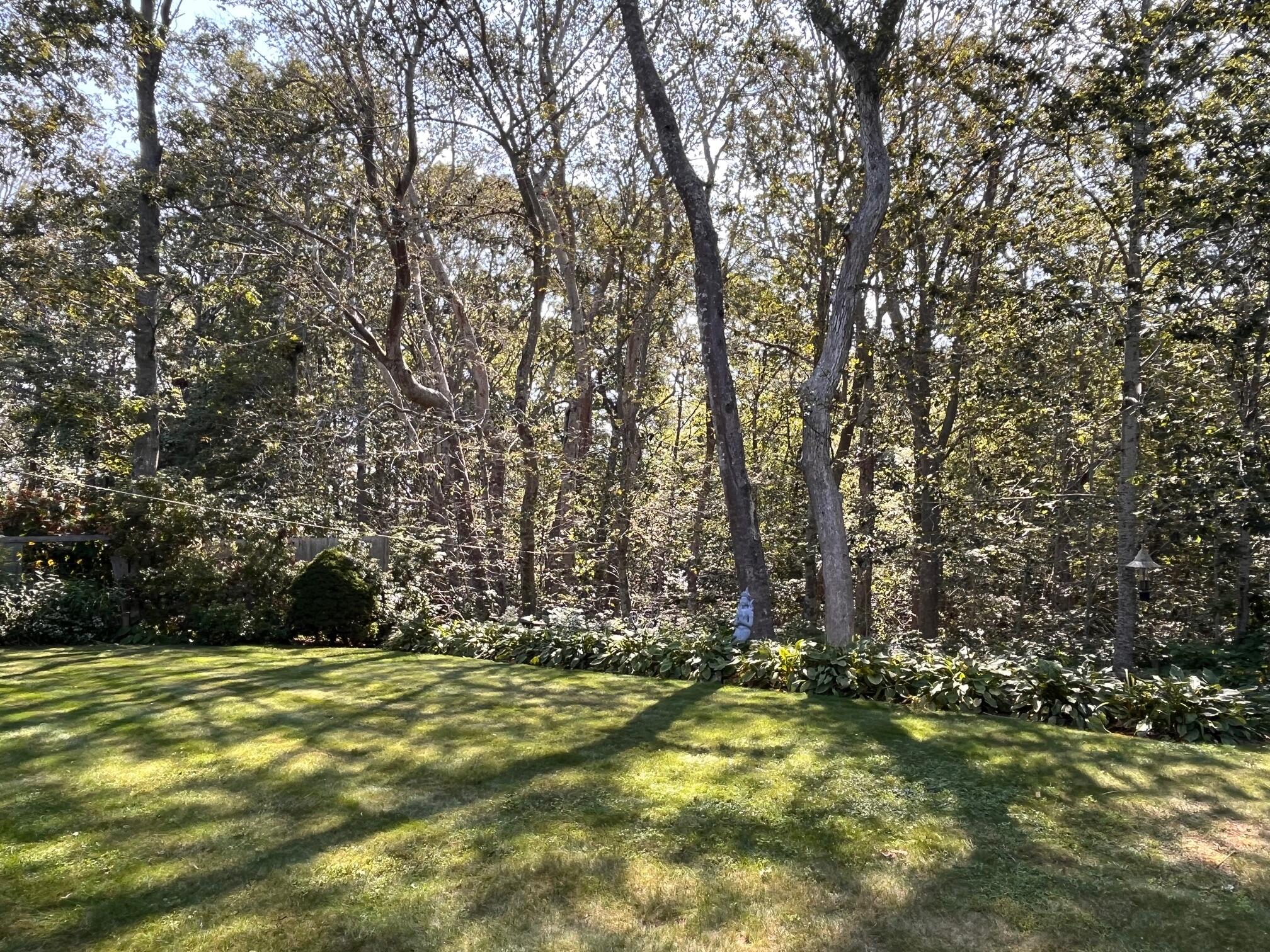 69 Beechwood Drive Mashpee, MA 02649 - Photo 30 of 44 Yard