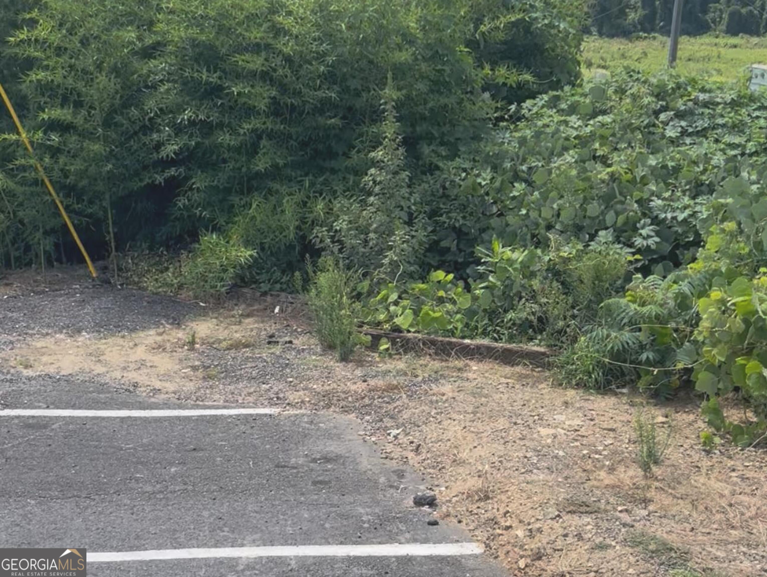 0 Cheshire Bridge Road Northeast Atlanta, GA 30324 - Photo 3 of 4 a view of a yard with a tree