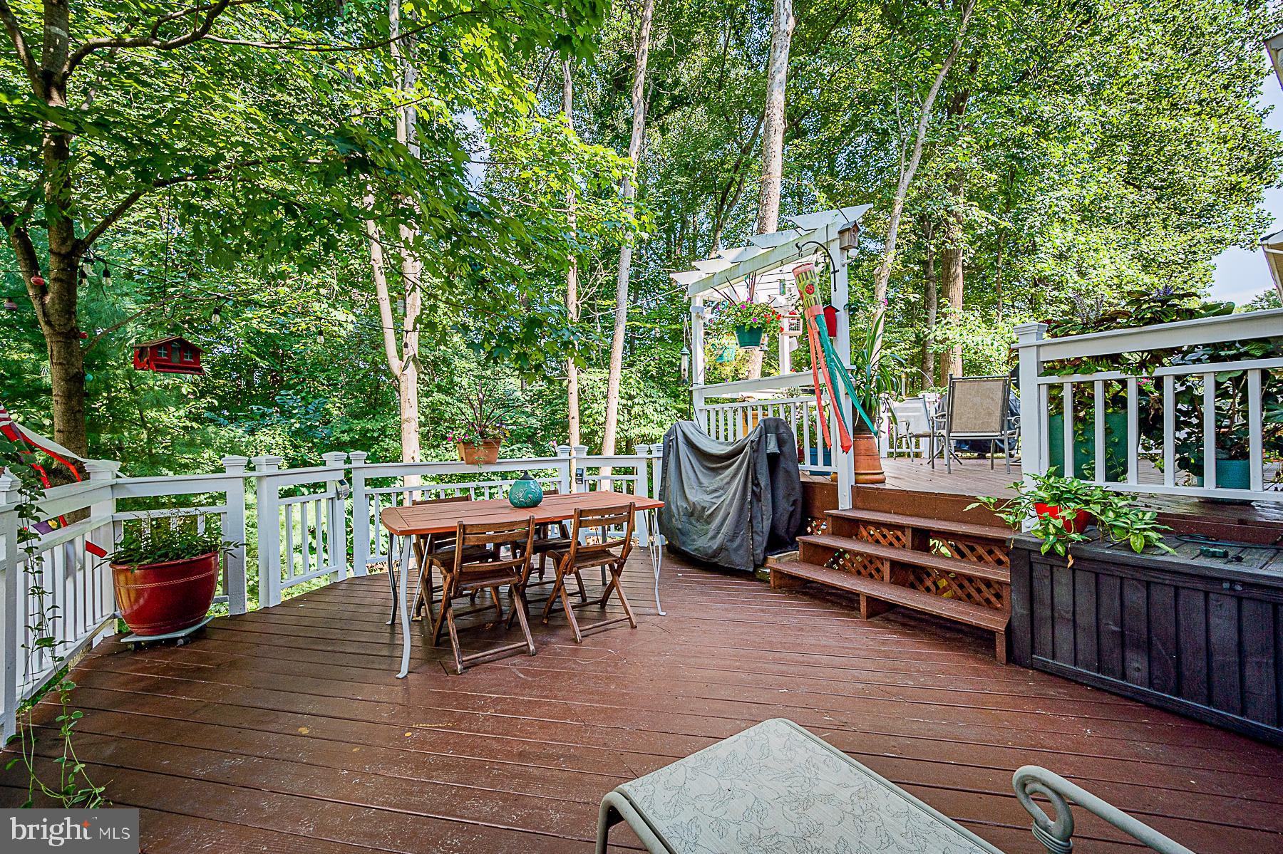 8005 Big Pool Road Laurel, MD 20724 - Photo 19 of 54 Step Down to 2nd Level - So Much Deck Space!