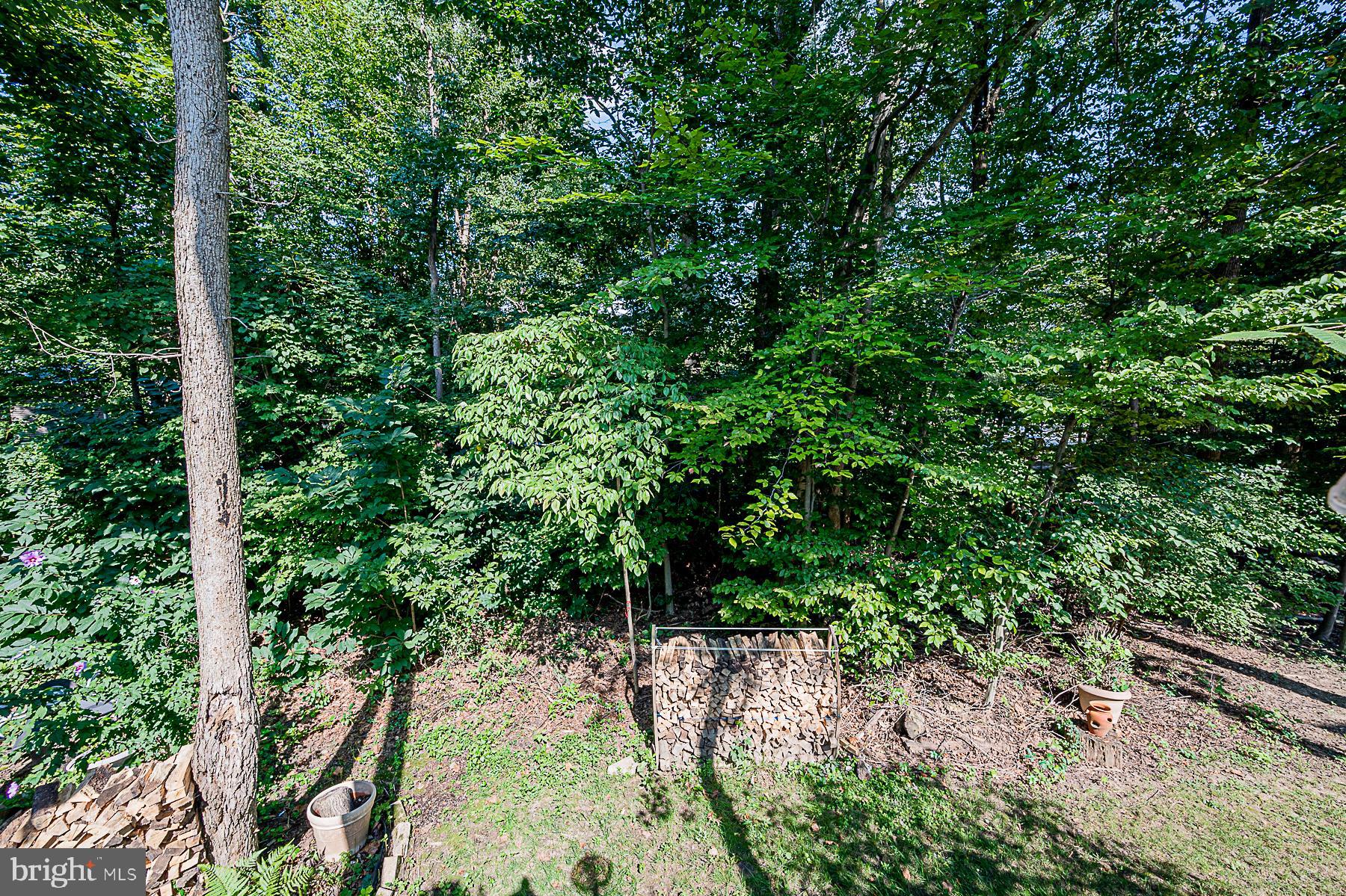 8005 Big Pool Road Laurel, MD 20724 - Photo 20 of 54 Treed Back Yard Offers So Much Privacy!
