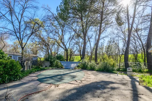 a view of a house with backyard and a tree