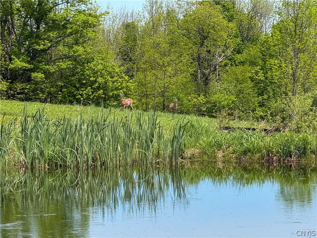 6275 Isenecker Road Boonville, NY 13309 - Photo 4 of 7