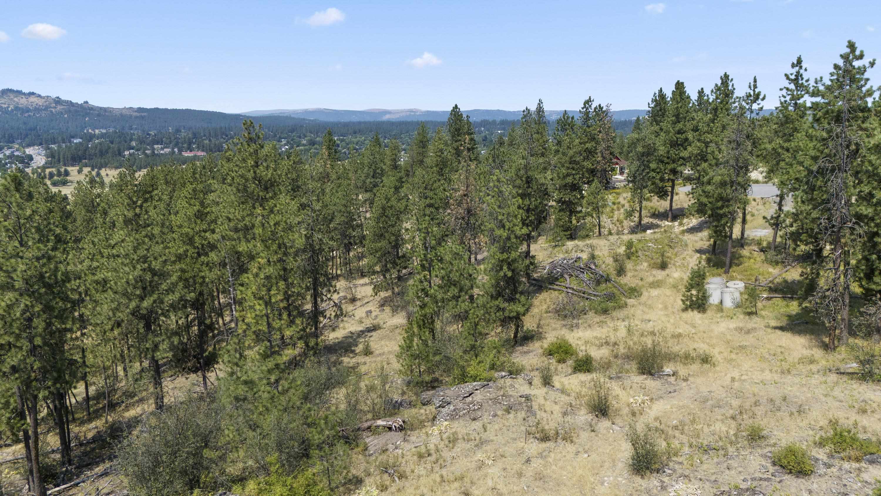 13010 East Chester Ridge Lane, Unit LOT 9 Spokane, WA 99206 - Photo 13 of 31