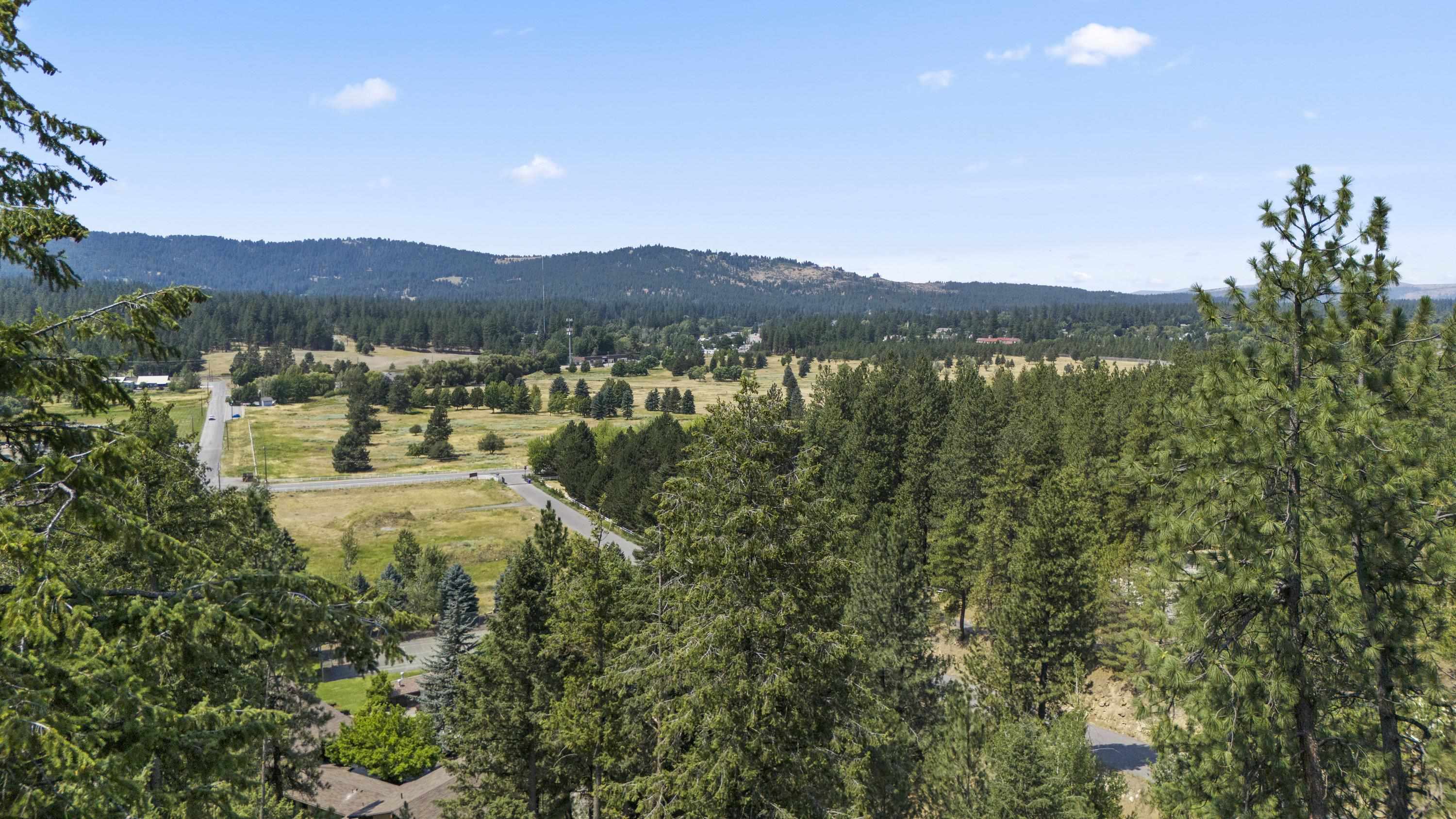 13010 East Chester Ridge Lane, Unit LOT 9 Spokane, WA 99206 - Photo 8 of 31