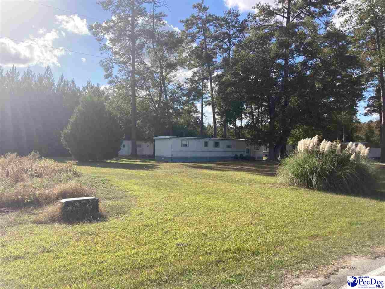 Old Hamer Road Hamer, SC 29547 - Photo 1 of 11 Gallery Image 1
