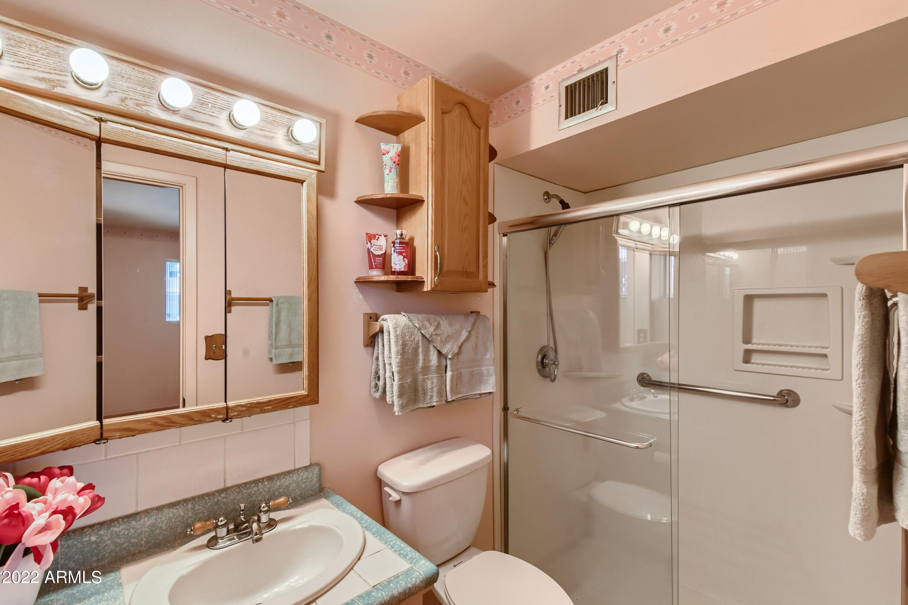 5249 East Decatur Street Mesa, AZ 85205 - Photo 16 of 28 21 Primary Bathroom