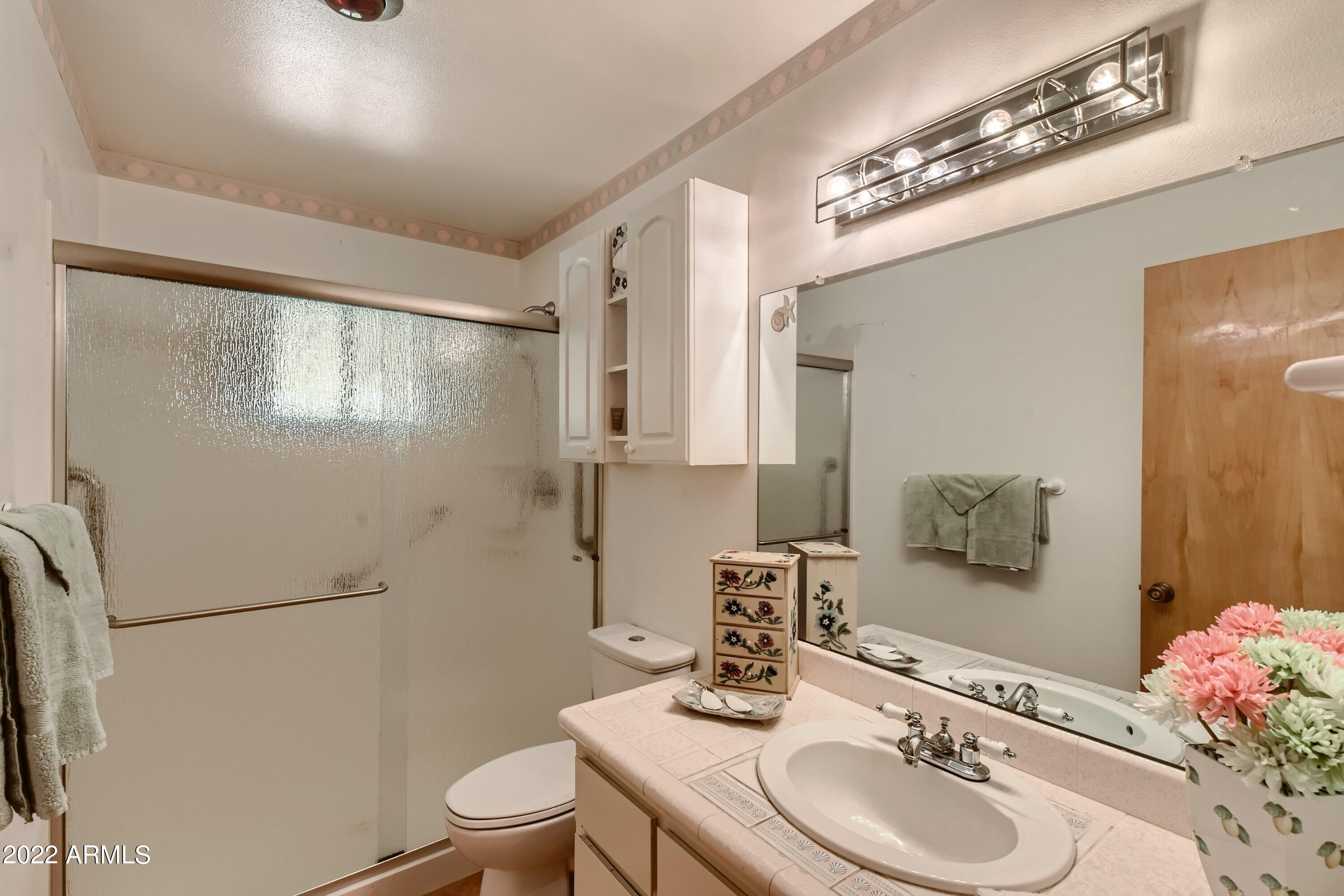 5249 East Decatur Street Mesa, AZ 85205 - Photo 19 of 28 25 Bathroom