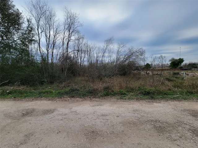 a view of a dirt road with large trees