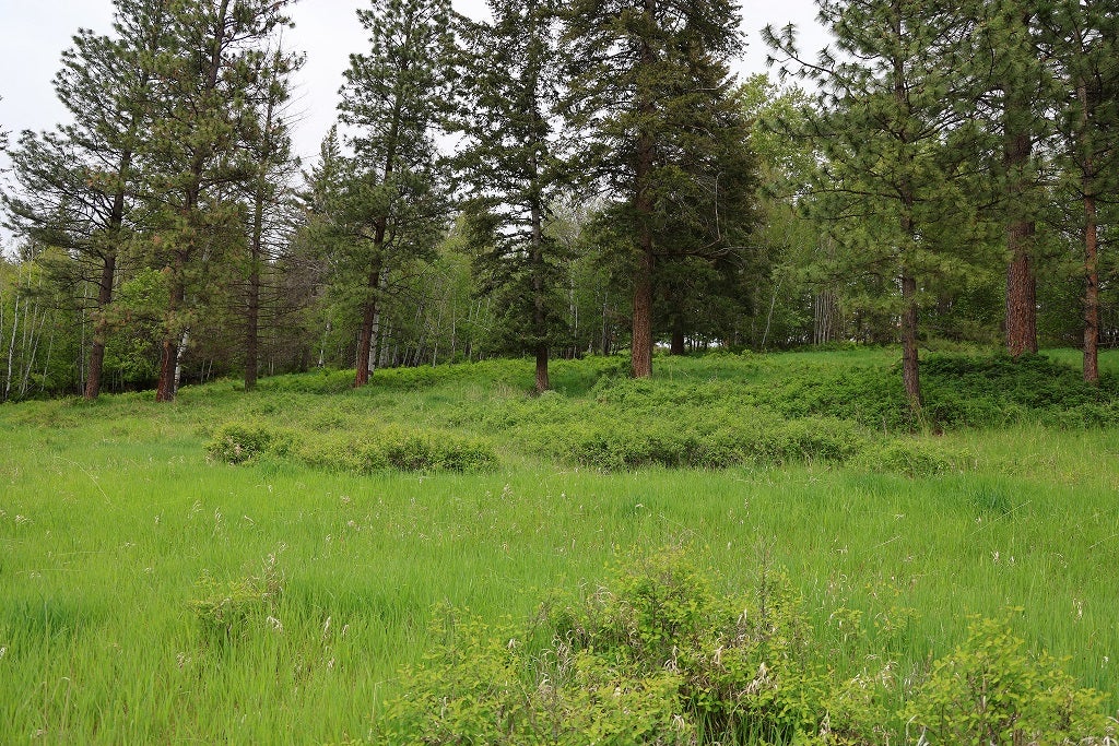 41698 Canal Road Ronan, MT 59864 - Photo 48 of 102 Gallery Image 48
