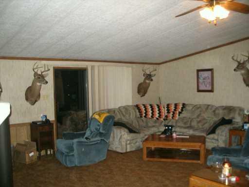 487 Vankirk Road Washington, PA 15301 - Photo 3 of 8 Gallery Image 3