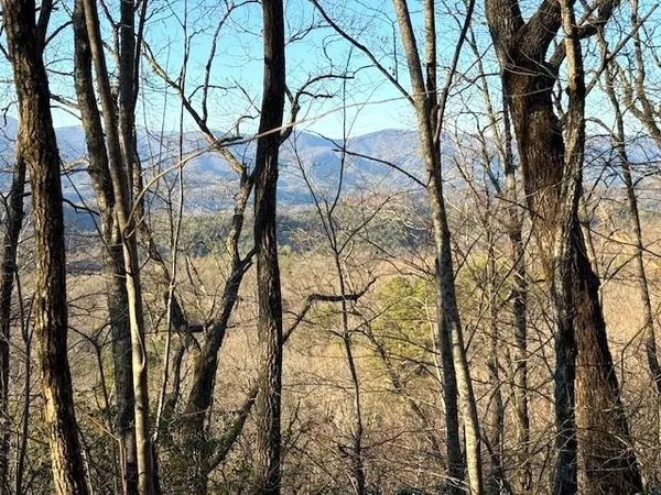 $229,900 | 7.0-ac Laurel Drive, Marble, NC 28905