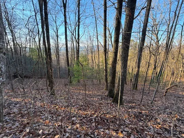 $229,900 | 7.0-ac Laurel Drive, Marble, NC 28905