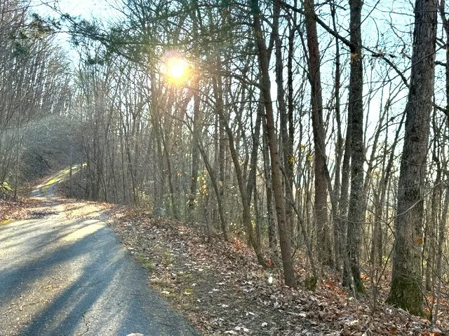 $229,900 | 7.0-ac Laurel Drive, Marble, NC 28905