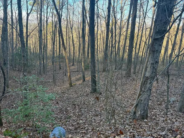 $229,900 | 7.0-ac Laurel Drive, Marble, NC 28905