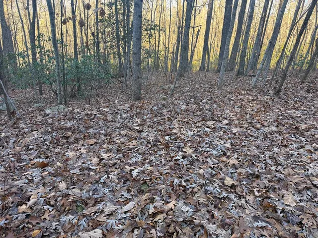 $229,900 | 7.0-ac Laurel Drive, Marble, NC 28905