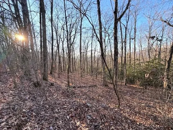 $229,900 | 7.0-ac Laurel Drive, Marble, NC 28905