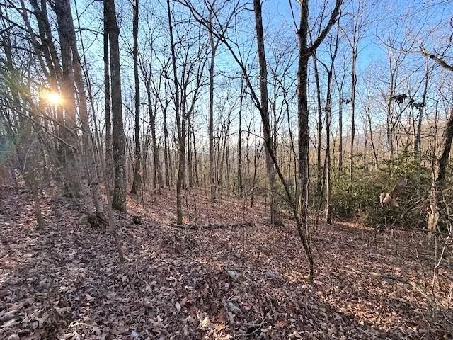 a view of an outdoor space