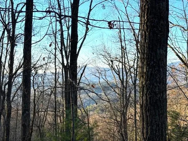 $229,900 | 7.0-ac Laurel Drive, Marble, NC 28905