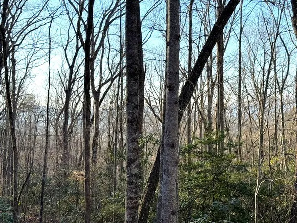 $229,900 | 7.0-ac Laurel Drive, Marble, NC 28905