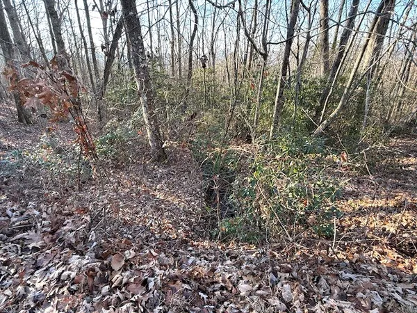 $229,900 | 7.0-ac Laurel Drive, Marble, NC 28905